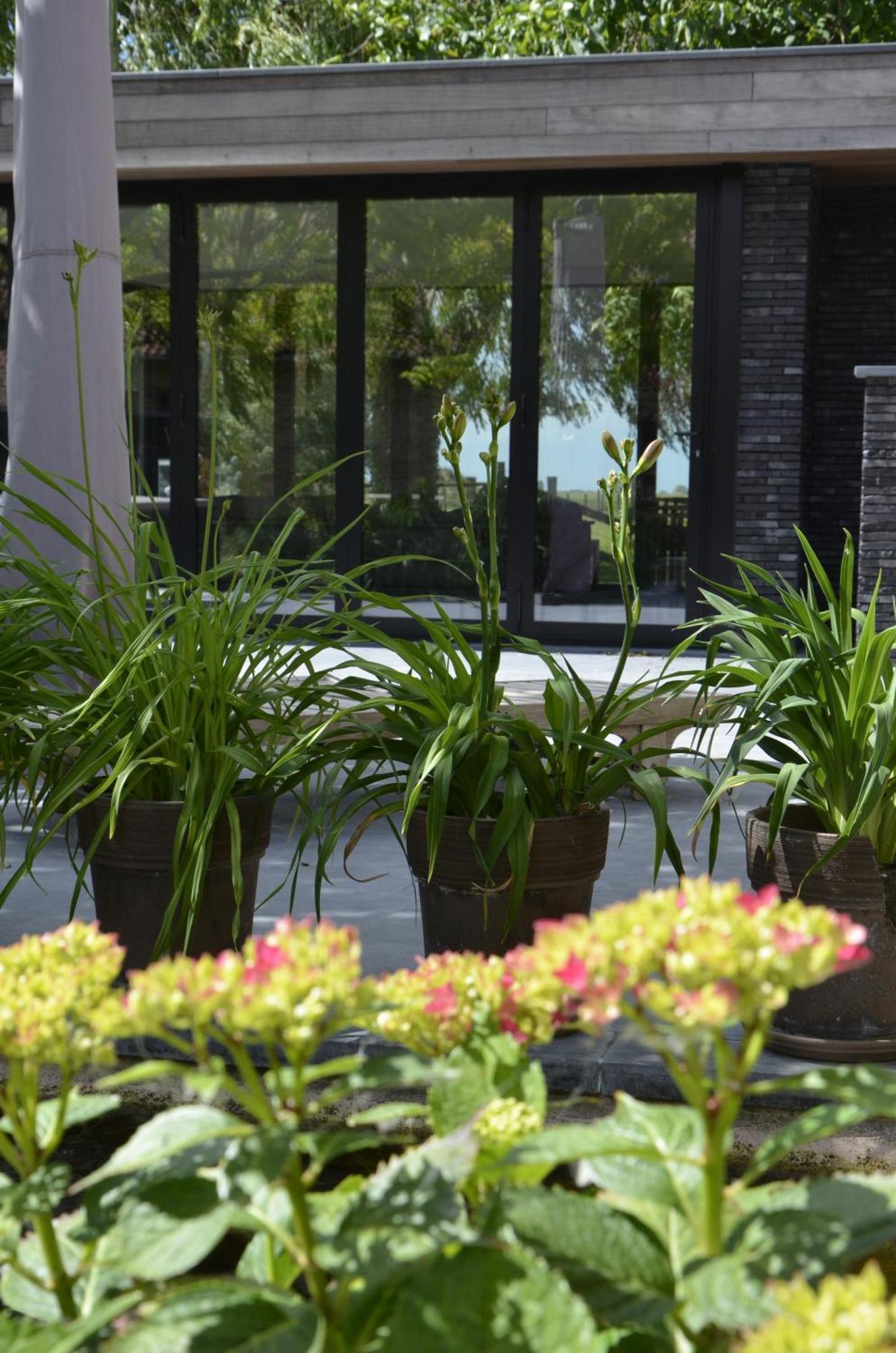 Vakantiewoning Wanderlust Alveringem エクステリア 写真