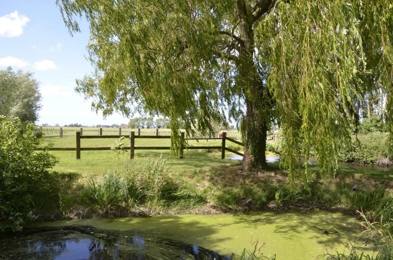 Vakantiewoning Wanderlust Alveringem エクステリア 写真